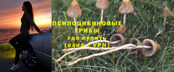 прущая мука Бронницы