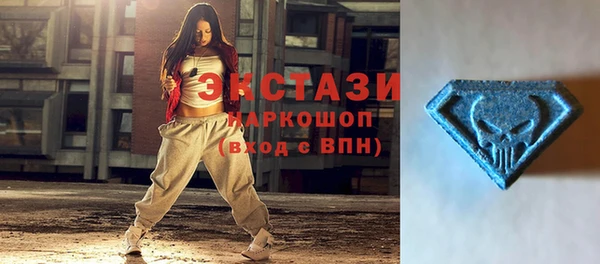 дживик Богородицк